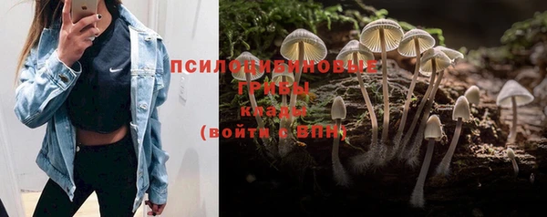 винт Абаза