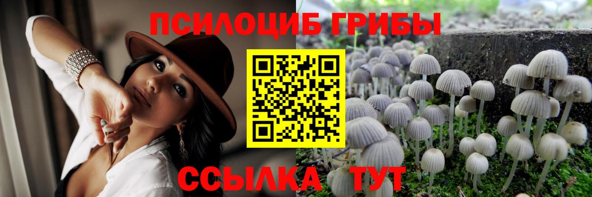 Псилоцибиновые грибы GOLDEN TEACHER Октябрьский