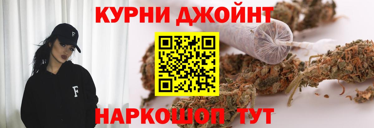 Каннабис OG Kush Октябрьский
